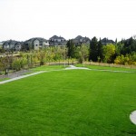 Complete City Acreage with Full Boardwalk