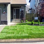General Landscaping Calgary Front Yard