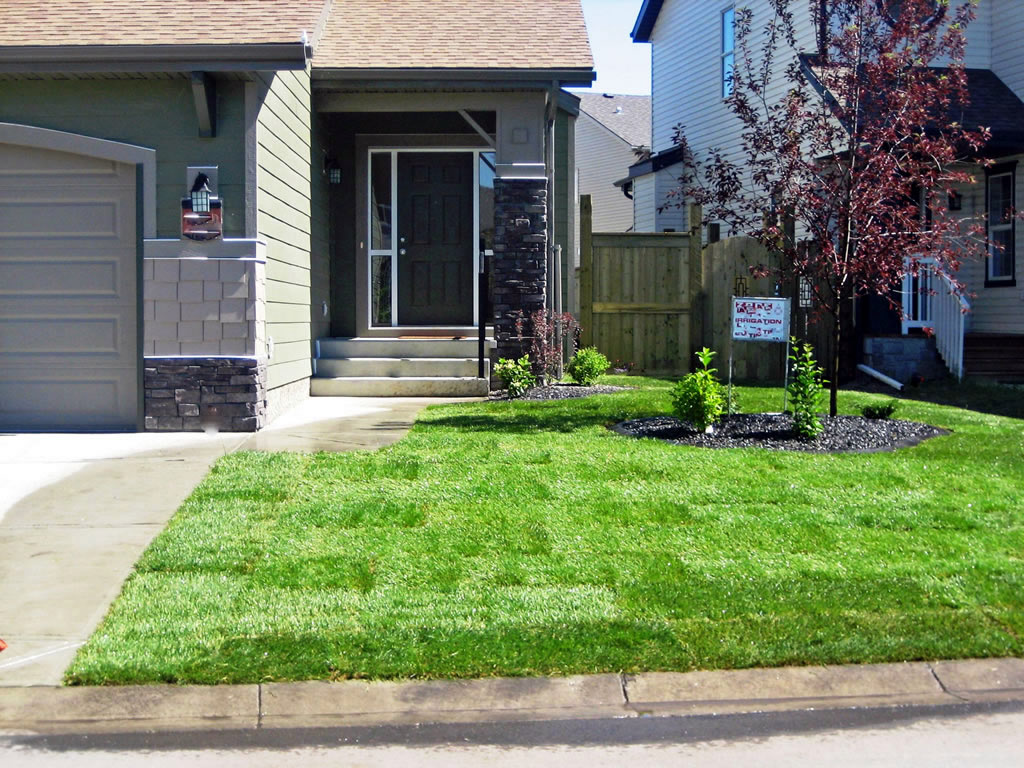 Yard Landscaping Ideas Front Yard Landscaping Ideas Ontario Canada