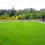 Large Premium Grass Area