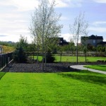 Large Trembling Aspens for Privacy