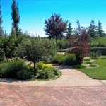Acreage Yard
