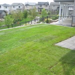 New Sod and Irrigation