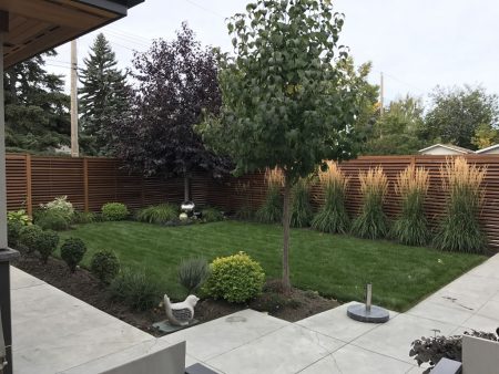 Contemporary back yard - 3 years later