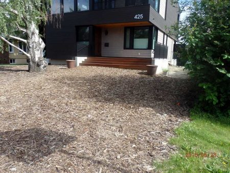 Location 42b: Before