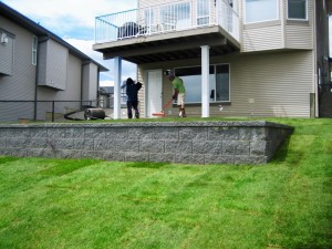 Basic Yard with Walling and Sod